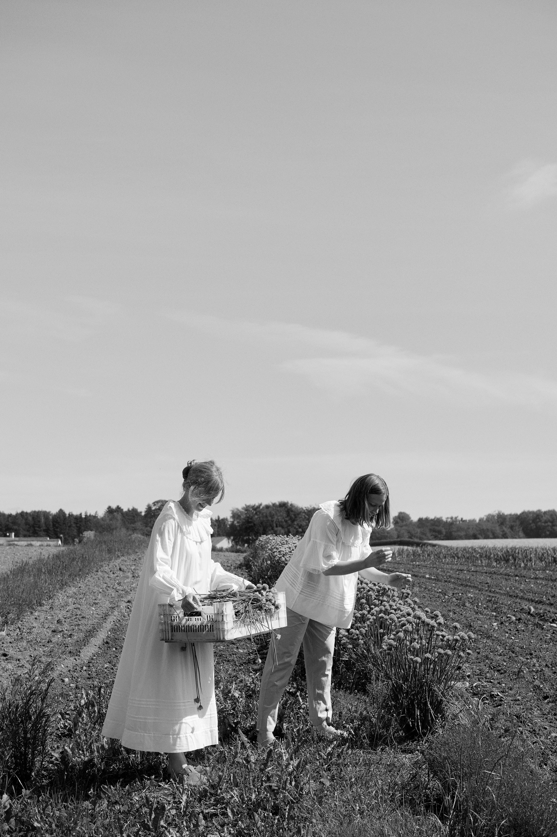 Skall letter Nr. 35 - Line Bak og Kamilla Rønnestad