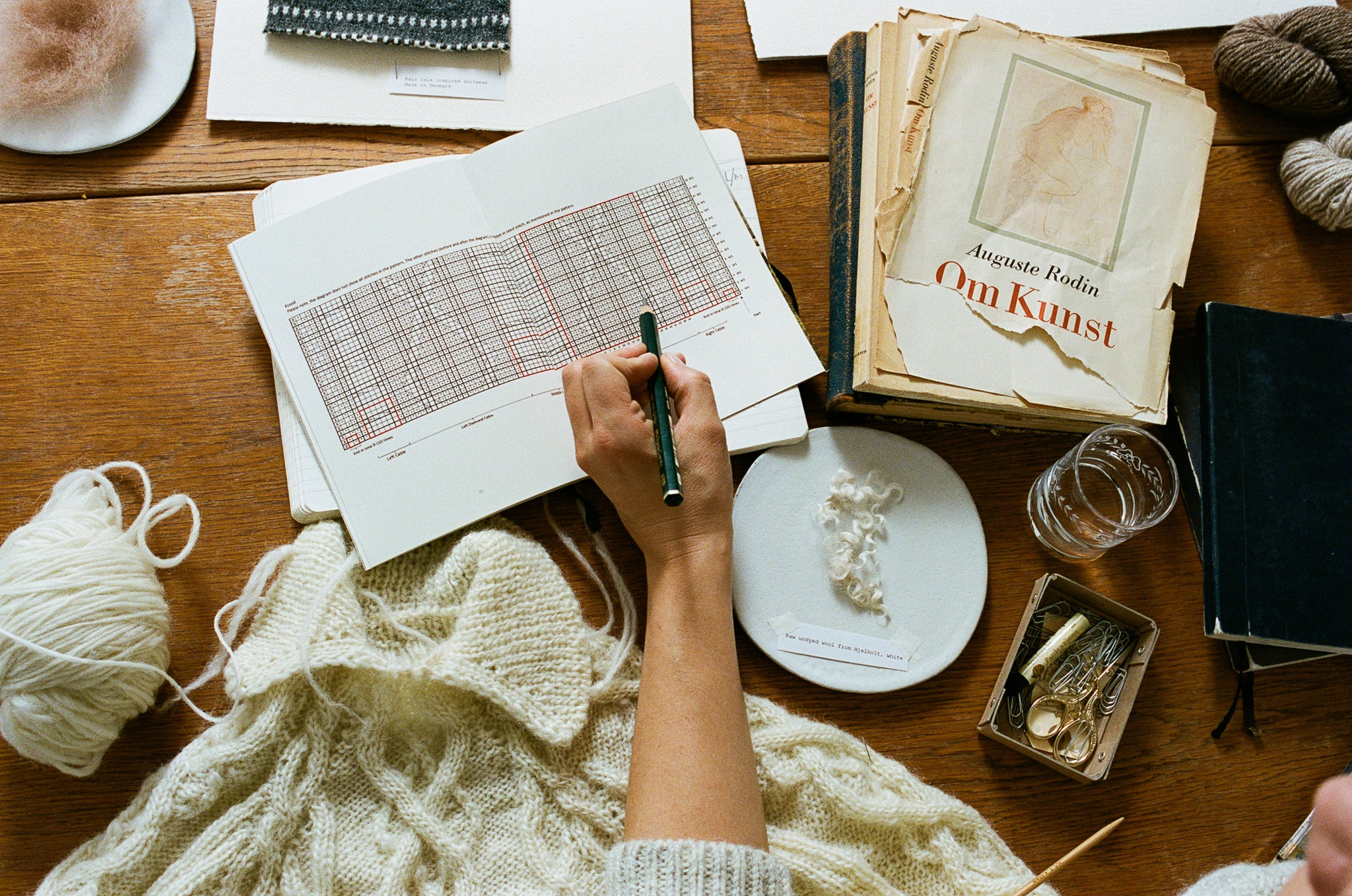 SKALL STRIK, bog Dansk